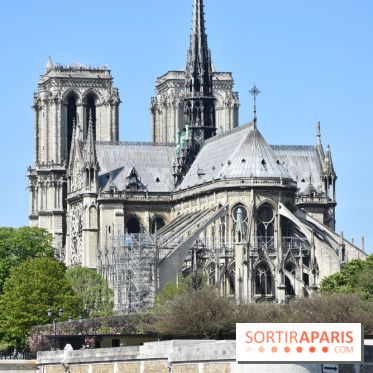 Base de données LaurentP