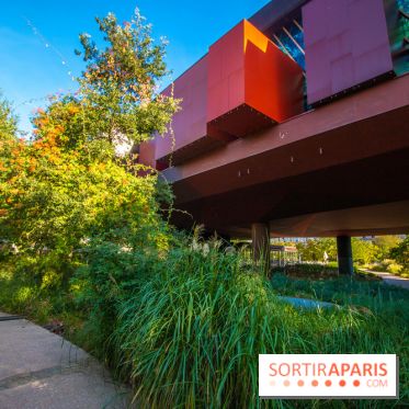 Base de données LaurentP