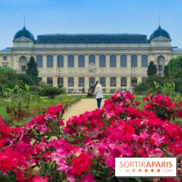 Base de données LaurentP