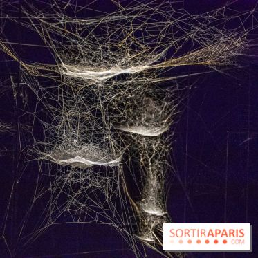 Base de données LaurentP