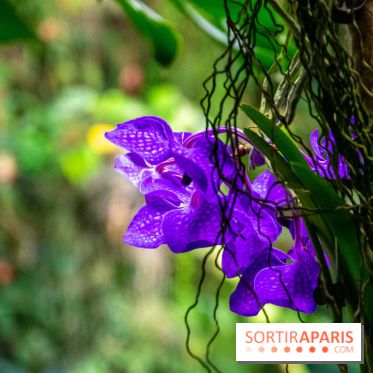 Base de données LaurentP