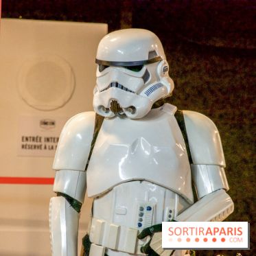 Base de données LaurentP