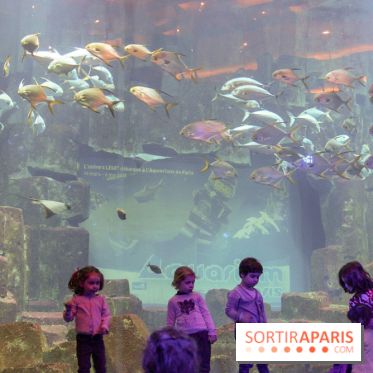 Les 60 ans de LEGO® à l'Aquarium de Paris