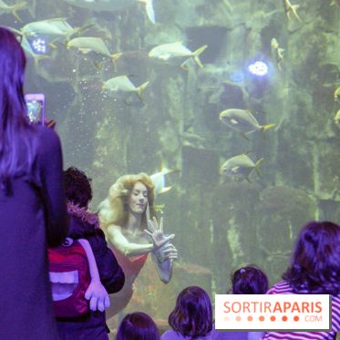 Les 60 ans de LEGO® à l'Aquarium de Paris