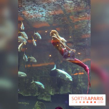 Les 60 ans de LEGO® à l'Aquarium de Paris