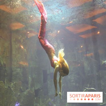 Les 60 ans de LEGO® à l'Aquarium de Paris