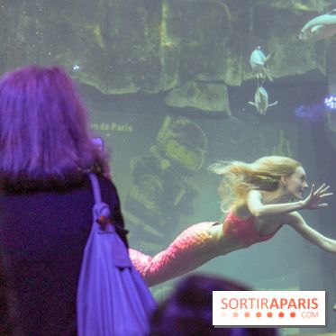 Les 60 ans de LEGO® à l'Aquarium de Paris