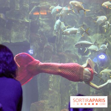 Les 60 ans de LEGO® à l'Aquarium de Paris