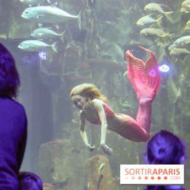 Les 60 ans de LEGO® à l'Aquarium de Paris
