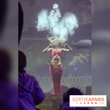 Les 60 ans de LEGO® à l'Aquarium de Paris