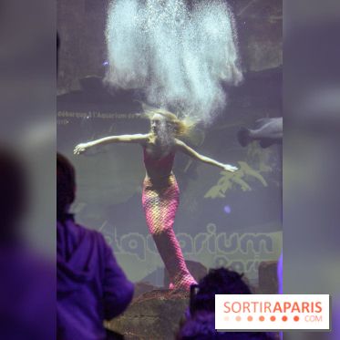 Les 60 ans de LEGO® à l'Aquarium de Paris