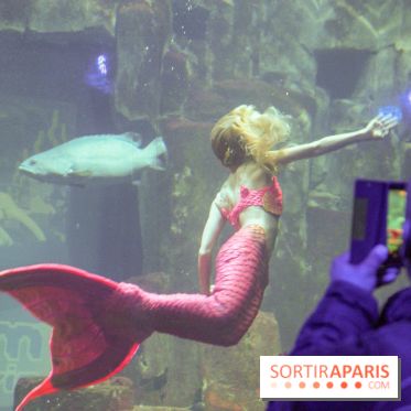 Les 60 ans de LEGO® à l'Aquarium de Paris