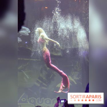Les 60 ans de LEGO® à l'Aquarium de Paris