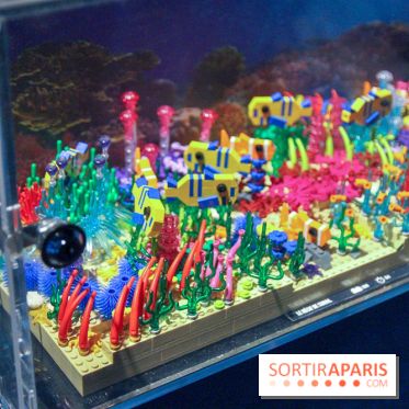 Les 60 ans de LEGO® à l'Aquarium de Paris