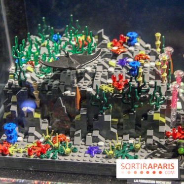 Les 60 ans de LEGO® à l'Aquarium de Paris