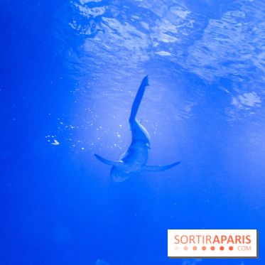 Les 60 ans de LEGO® à l'Aquarium de Paris