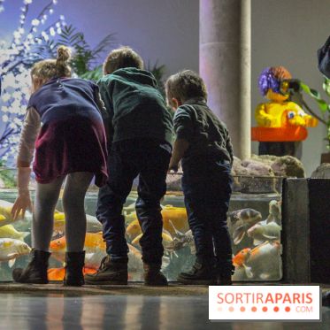 Les 60 ans de LEGO® à l'Aquarium de Paris