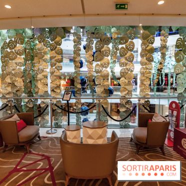 Exposition Monstera Dubia à Beaugrenelle