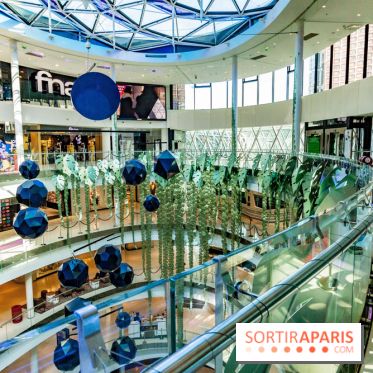 Exposition Monstera Dubia à Beaugrenelle