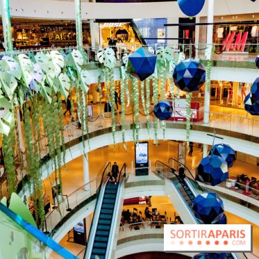 Exposition Monstera Dubia à Beaugrenelle