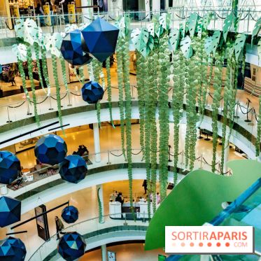 Exposition Monstera Dubia à Beaugrenelle