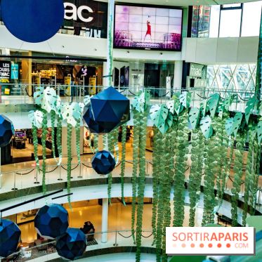 Exposition Monstera Dubia à Beaugrenelle