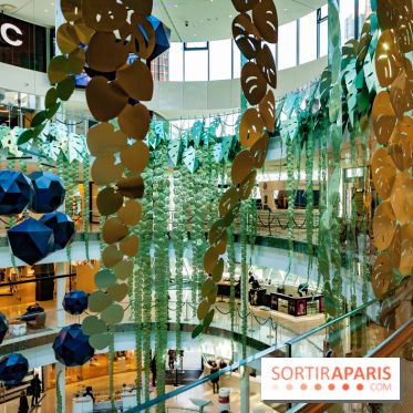 Exposition Monstera Dubia à Beaugrenelle