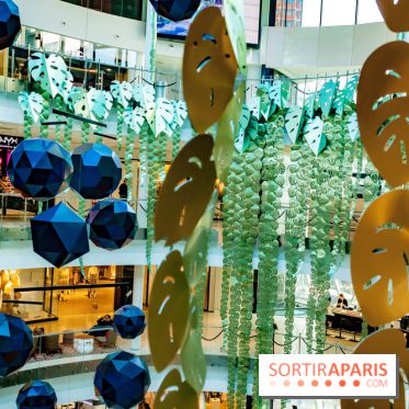 Exposition Monstera Dubia à Beaugrenelle