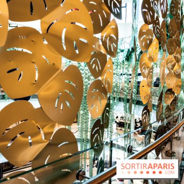 Exposition Monstera Dubia à Beaugrenelle