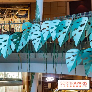 Exposition Monstera Dubia à Beaugrenelle