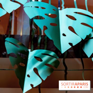 Exposition Monstera Dubia à Beaugrenelle