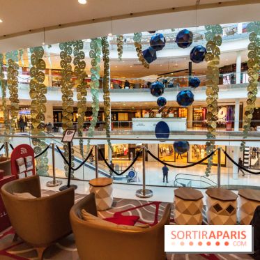 Exposition Monstera Dubia à Beaugrenelle