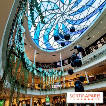 Exposition Monstera Dubia à Beaugrenelle