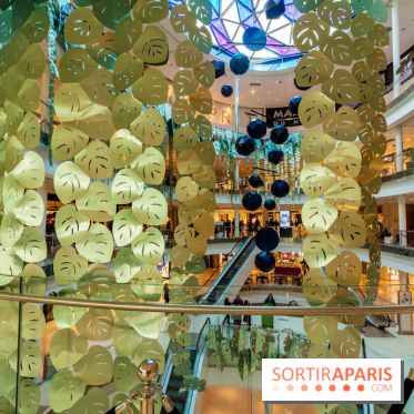 Exposition Monstera Dubia à Beaugrenelle