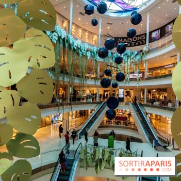 Exposition Monstera Dubia à Beaugrenelle