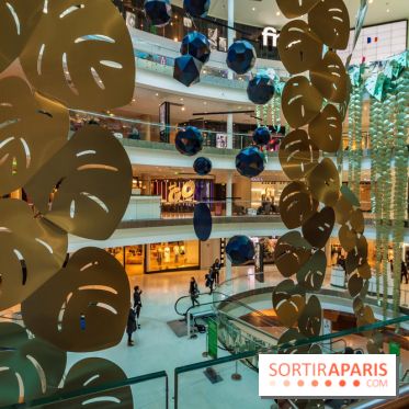 Exposition Monstera Dubia à Beaugrenelle