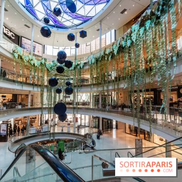 Exposition Monstera Dubia à Beaugrenelle