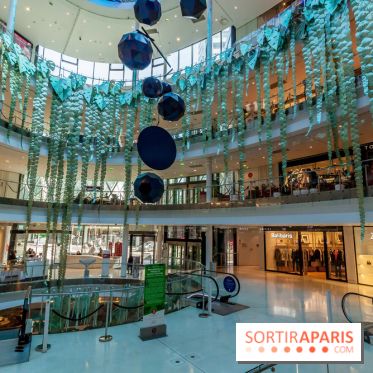 Exposition Monstera Dubia à Beaugrenelle