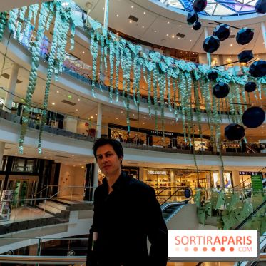 Exposition Monstera Dubia à Beaugrenelle