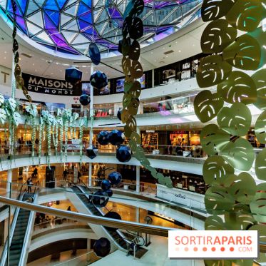 Exposition Monstera Dubia à Beaugrenelle