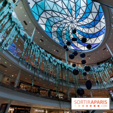 Exposition Monstera Dubia à Beaugrenelle