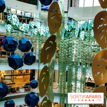 Exposition Monstera Dubia à Beaugrenelle