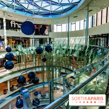 Exposition Monstera Dubia à Beaugrenelle