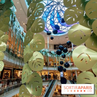 Exposition Monstera Dubia à Beaugrenelle