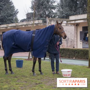 Les Dimanches au Galop 2018