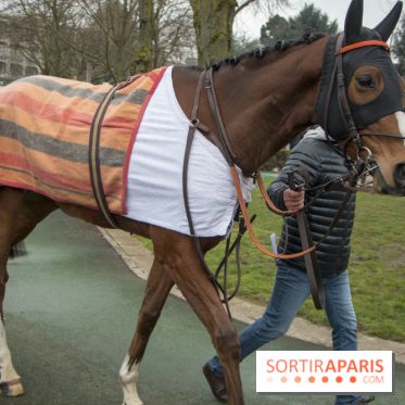 Les Dimanches au Galop 2018