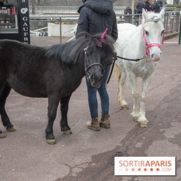 Les Dimanches au Galop 2018