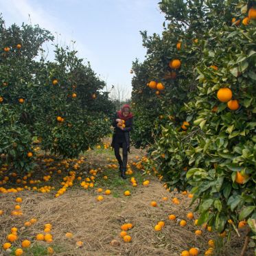 Circulation(s) 2018, festival photographique au 104