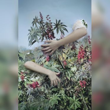 Circulation(s) 2018, festival photographique au 104