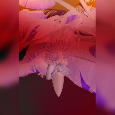 Circulation(s) 2018, festival photographique au 104